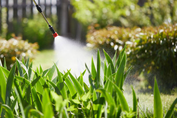 Tamper-Resistant Bait Stations for Rodents in Bonne Terre