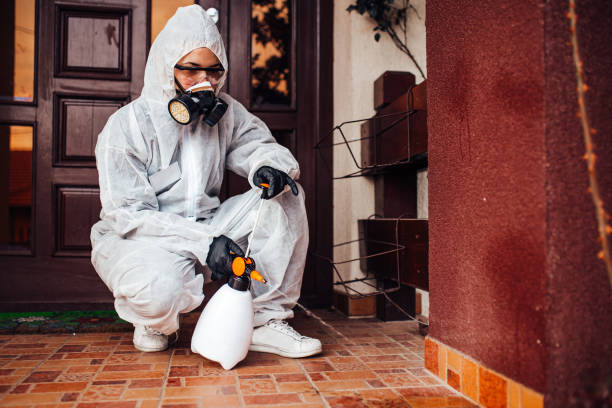 Attic and Crawl Space Rodent Treatment in Bonne Terre