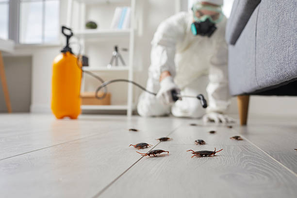 Commercial Rodent Management in Bonne Terre